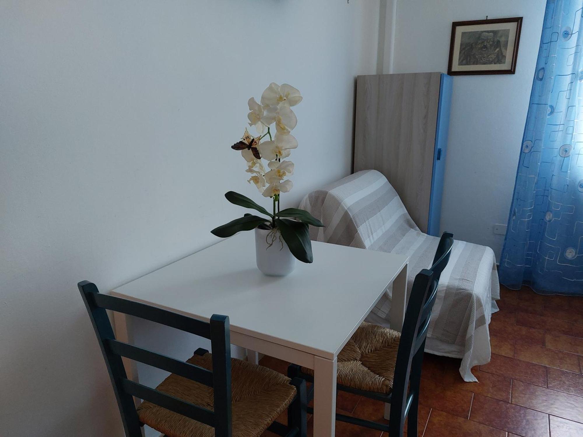 B&B Soleluna Пиза Экстерьер фото
